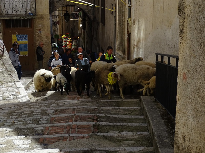 Processione centro storico 2017